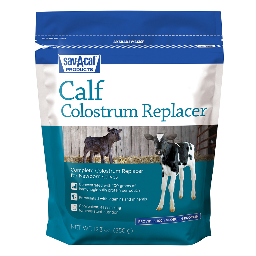 Colostrum